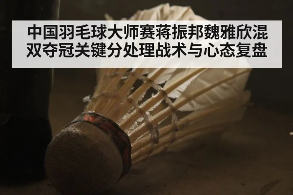 中国羽毛球大师赛蒋振邦魏雅欣混双夺冠关键分处理战术与心态复盘